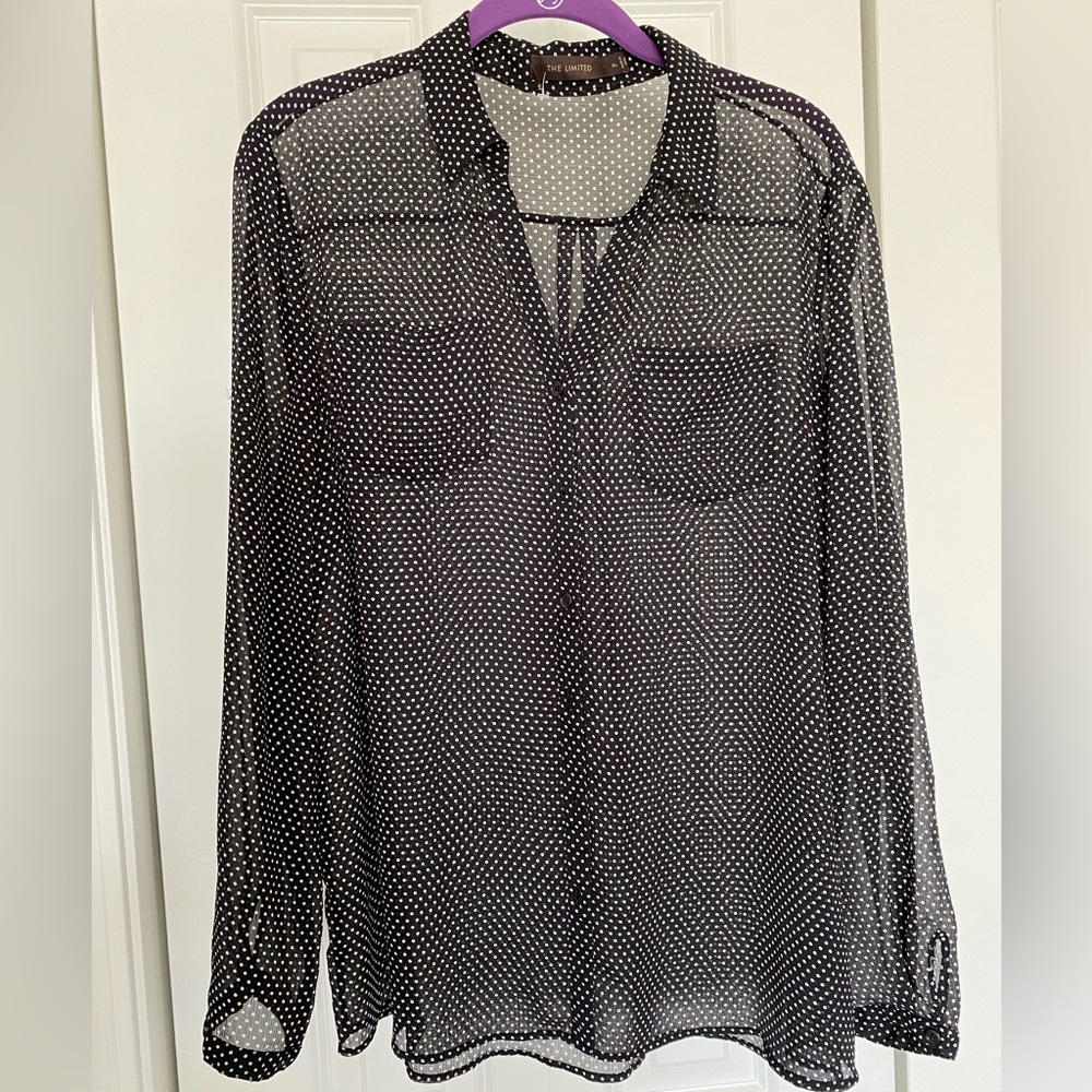 Sheer polka dot blouse from The Limited XL